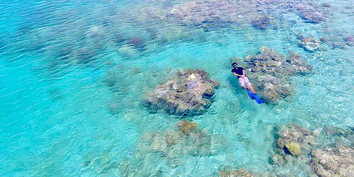 Snorkling di pulau moyo